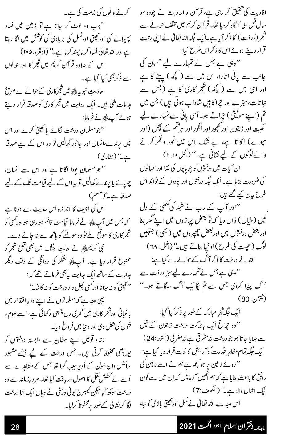 شجرکاری کی اہمیت